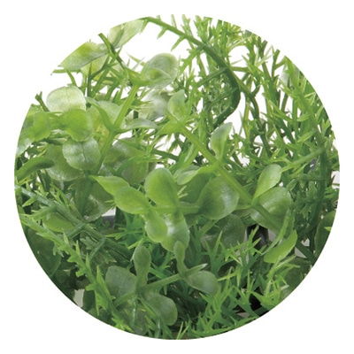 アートクリエーション 光の楽園 フェイクグリーン ミニユーカリミックスマット ポリ製 443K45 1個(ご注文単位1個)【直送品】