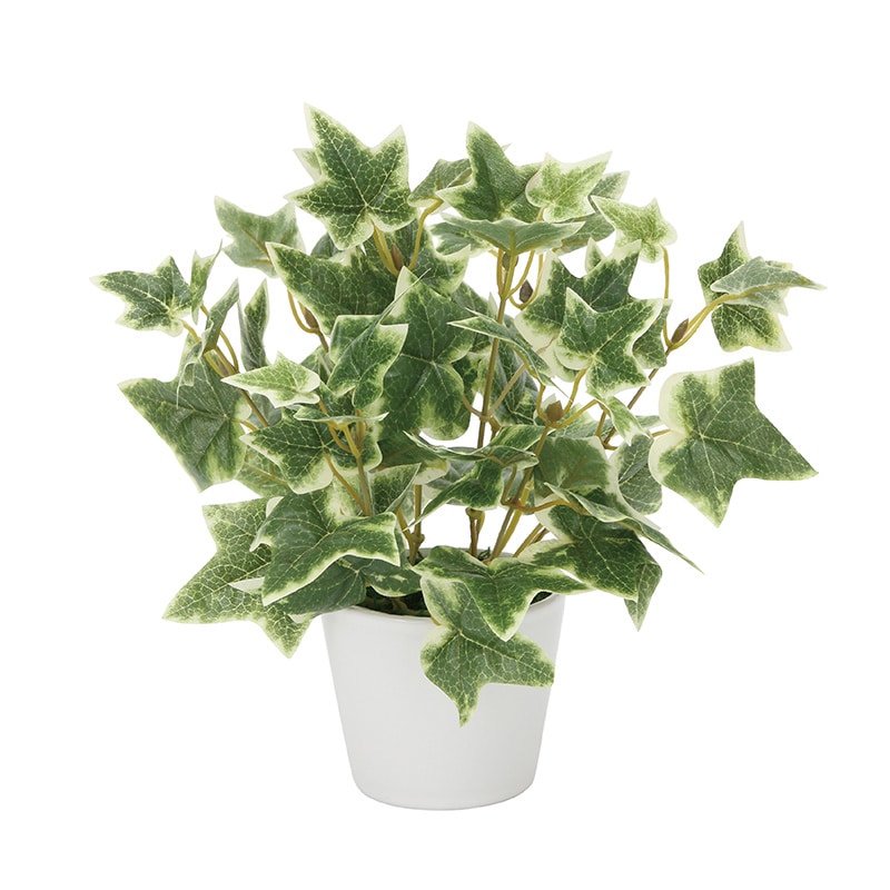 アートクリエーション 光の楽園 フェイクグリーン 斑入りアイビー 834K30 1個(ご注文単位1個)【直送品】