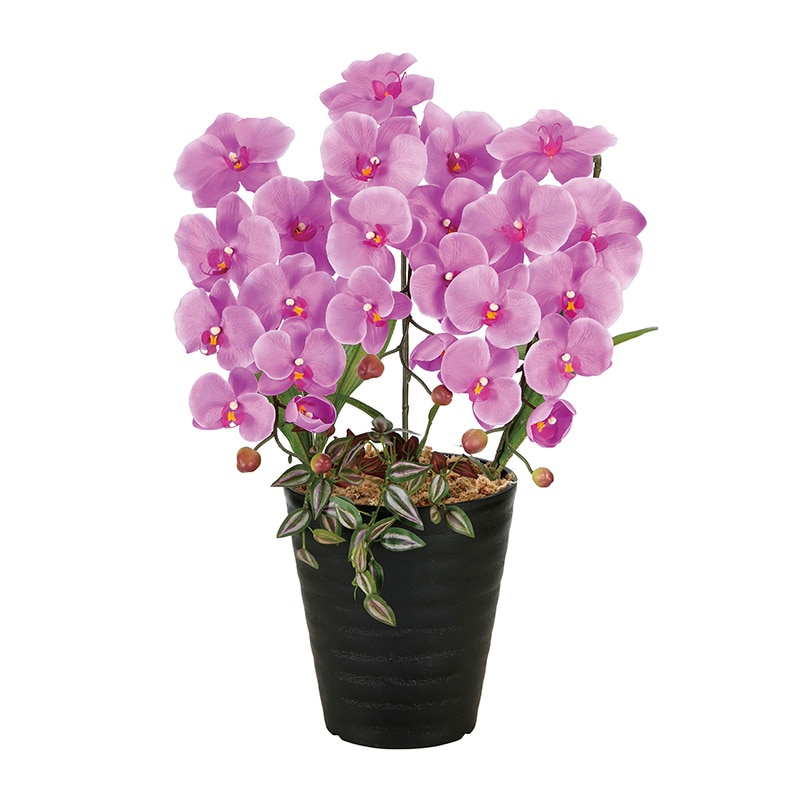 アートクリエーション 光の楽園 アートフラワー プリンセス胡蝶蘭 L 2265K60 1個（ご注文単位1個）【直送品】