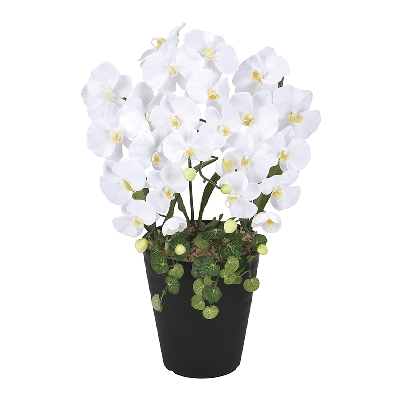アートクリエーション 光の楽園 アートフラワー プリンセス胡蝶蘭 W 2266K60 1個（ご注文単位1個）【直送品】