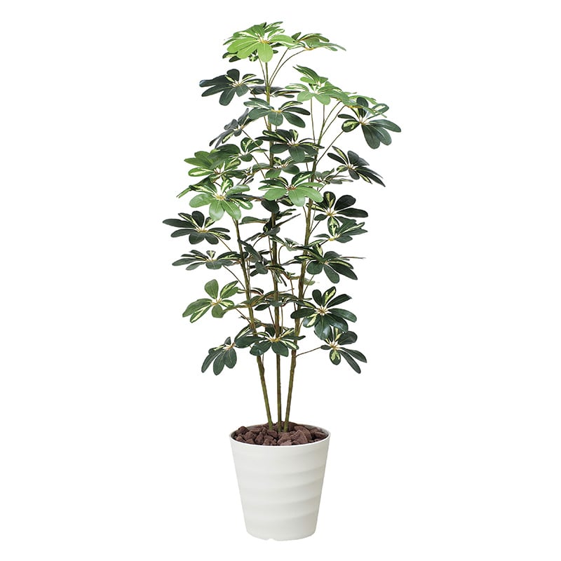 アートクリエーション 光の楽園 フェイクグリーン カポック 斑入り 1.5m 355K210 1個（ご注文単位1個）【直送品】