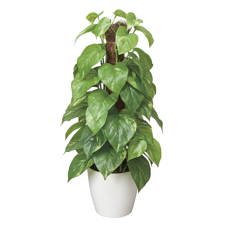 アートクリエーション 光の楽園 フェイクグリーン フレッシュポールポトス 382K60 1個（ご注文単位1個）【直送品】