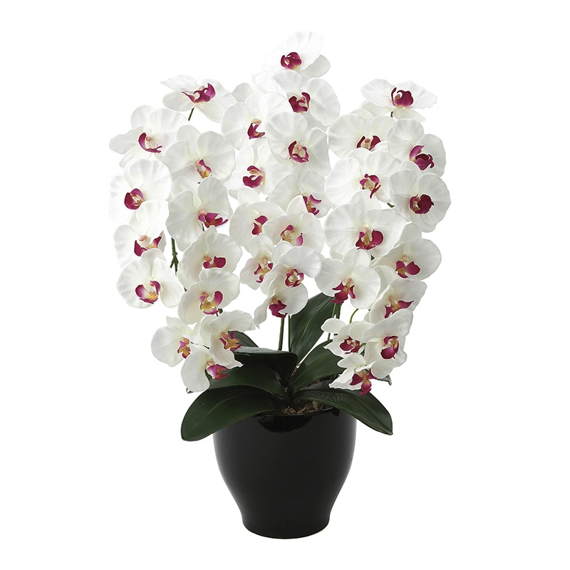 アートクリエーション 光の楽園 アートフラワー プレミアム胡蝶蘭 W／AB 661K135 1個（ご注文単位1個）【直送品】