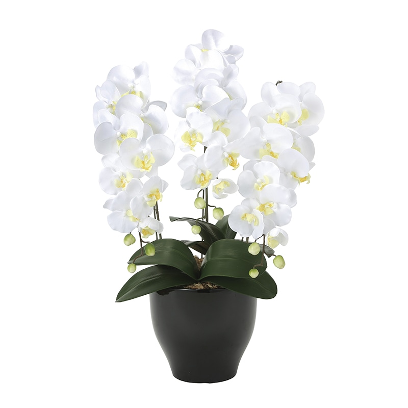 アートクリエーション 光の楽園 アートフラワー 胡蝶蘭セリース W 20K120 1個（ご注文単位1個）【直送品】