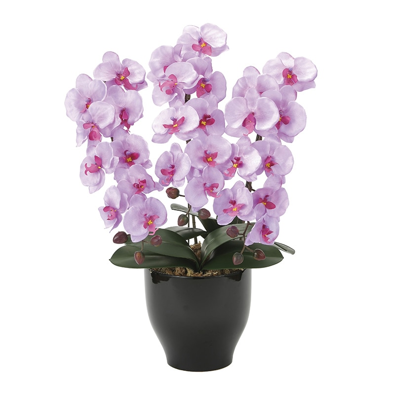アートクリエーション 光の楽園 アートフラワー 胡蝶蘭セリース L 21K120 1個（ご注文単位1個）【直送品】
