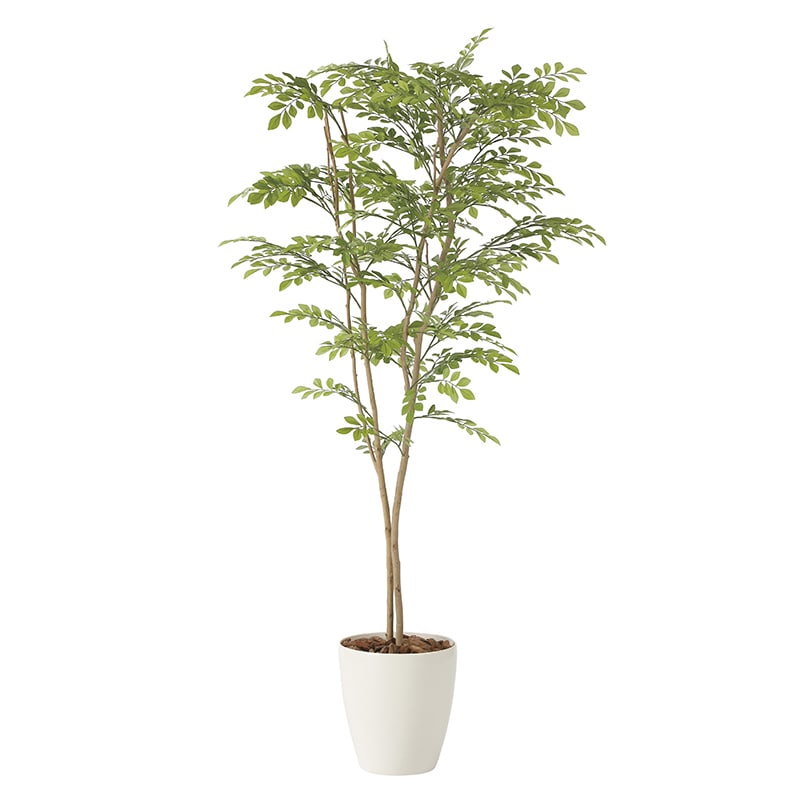 アートクリエーション 光の楽園 フェイクグリーン ライトトネリコ 1.6m 2231K330 1個（ご注文単位1個）【直送品】