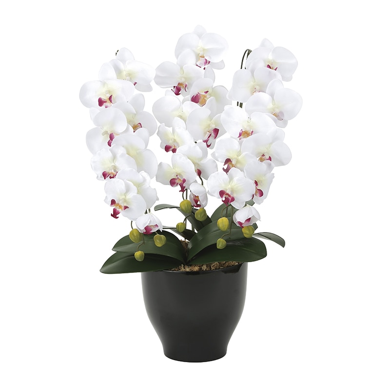 アートクリエーション 光の楽園 アートフラワー 胡蝶蘭セリース W／AB 22K120 1個（ご注文単位1個）【直送品】