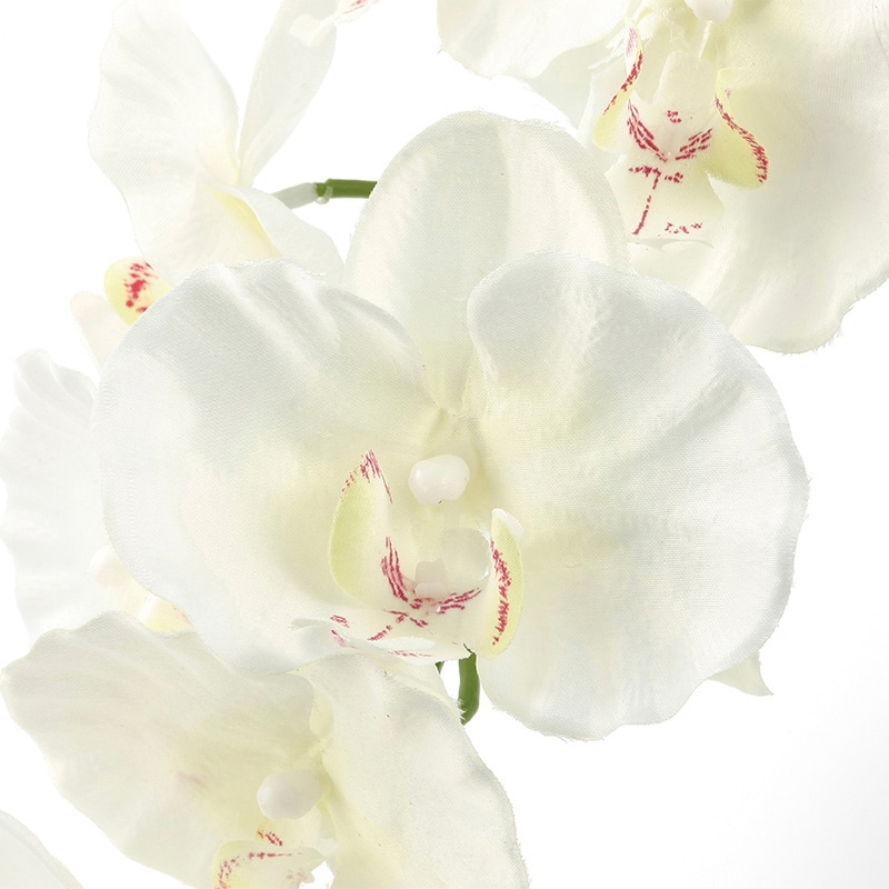 アートクリエーション 光の楽園 アートフラワー プレミアム胡蝶蘭 5本立ち W 651K200 1個(ご注文単位1個)【直送品】