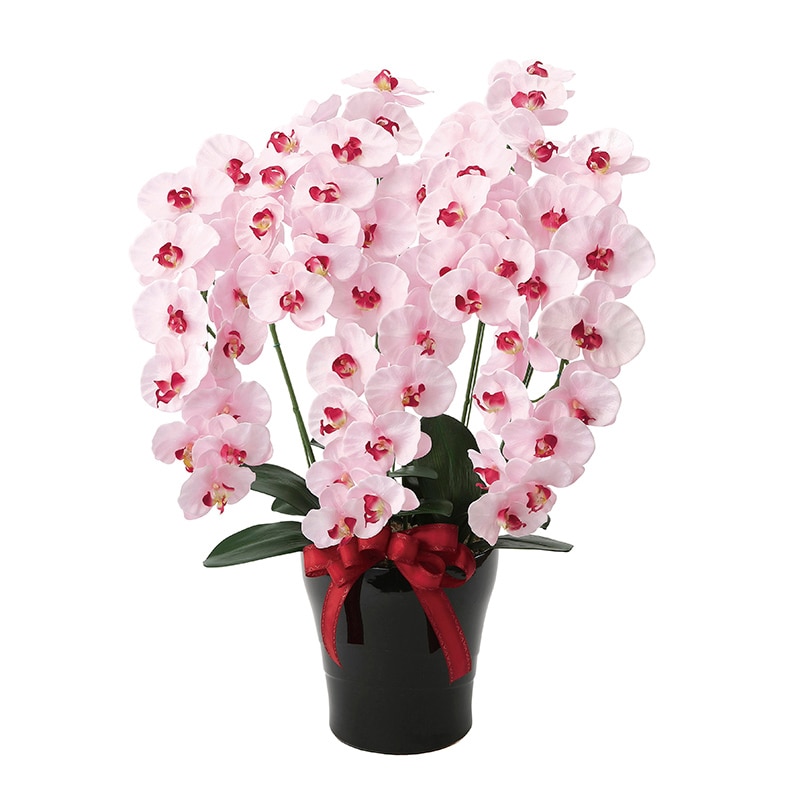 アートクリエーション 光の楽園 アートフラワー プレミアム胡蝶蘭 5本立ち P 652K200 1個（ご注文単位1個）【直送品】