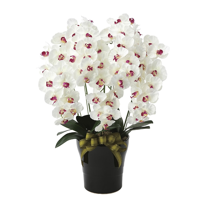 アートクリエーション 光の楽園 アートフラワー プレミアム胡蝶蘭 5本立ち W／AB 653K200 1個（ご注文単位1個）【直送品】