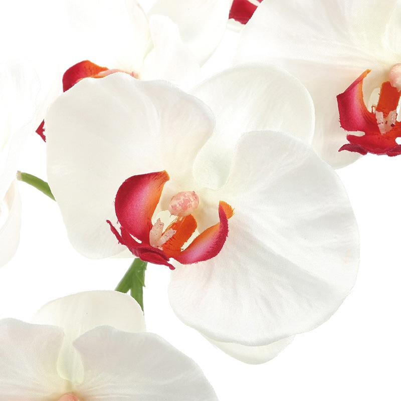 アートクリエーション 光の楽園 アートフラワー プレミアム胡蝶蘭 5本立ち W/AB 653K200 1個(ご注文単位1個)【直送品】