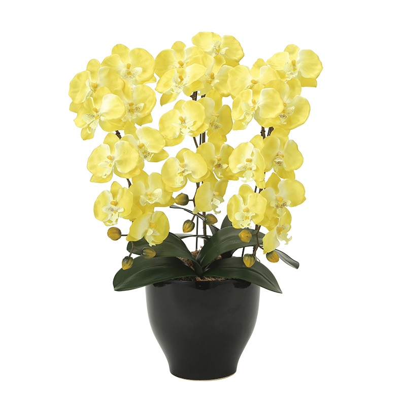 アートクリエーション 光の楽園 アートフラワー 胡蝶蘭セリース Y 917K120 1個（ご注文単位1個）【直送品】