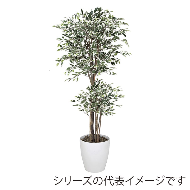 アートクリエーション 光の楽園 フェイクグリーン トロピカルベンジャミン 斑入り 1.6m 166K480 1個（ご注文単位1個）【直送品】