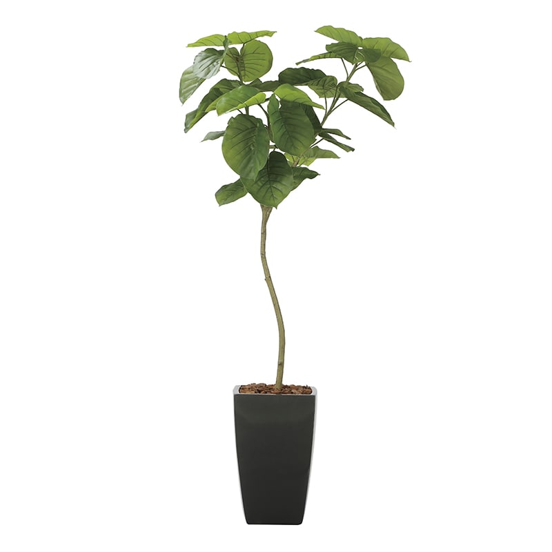 アートクリエーション 光の楽園 フェイクグリーン フレッシュアーバンウンベラータ 1.8m 2257K720 1個（ご注文単位1個）【直送品】