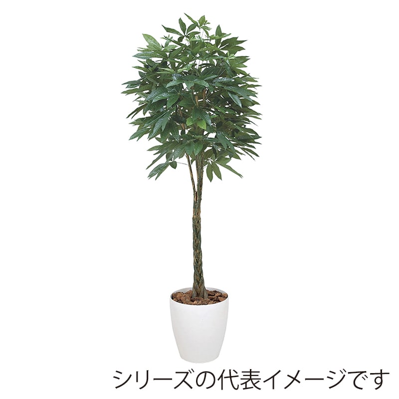 アートクリエーション 光の楽園 フェイクグリーン パキラ 1.6m 139K550 1個（ご注文単位1個）【直送品】