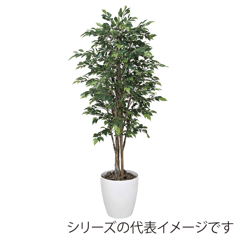 アートクリエーション 光の楽園 フェイクグリーン ロイヤルベンジャミン 1.8m 151K650 1個（ご注文単位1個）【直送品】