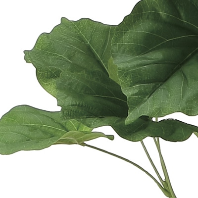 アートクリエーション 光の楽園 フェイクグリーン フィカスウンベラータ 1.35m 2116A295 1個(ご注文単位1個)【直送品】