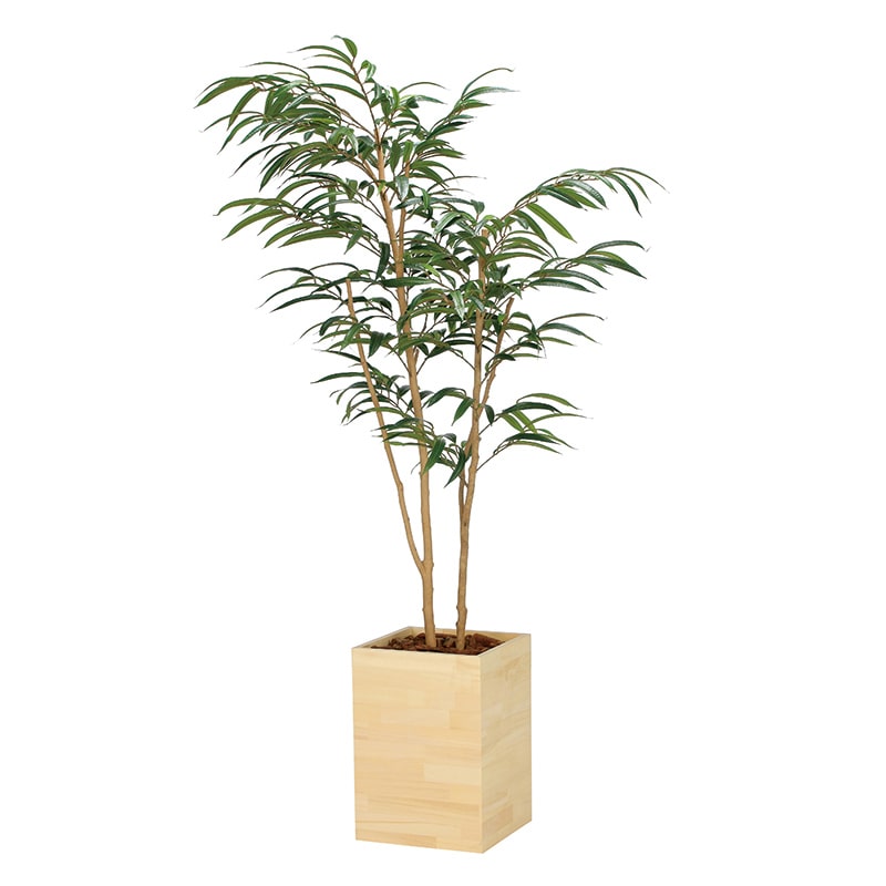 アートクリエーション 光の楽園 フェイクグリーン ウッドボックスショウナンゴム 1.8m 2300A580 1個(ご注文単位1個)【直送品】