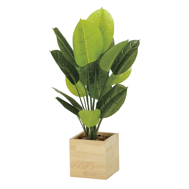 アートクリエーション 光の楽園 フェイクグリーン ウッドボックススキンダプサス 85cm 2307A210 1個(ご注文単位1個)【直送品】