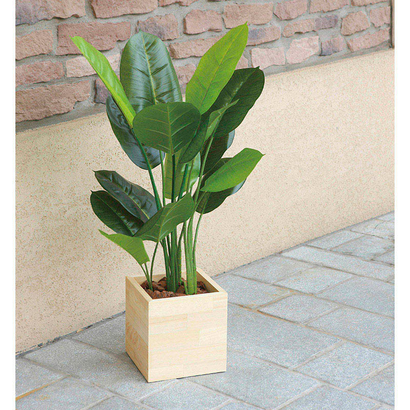 アートクリエーション 光の楽園 フェイクグリーン ウッドボックススキンダプサス 85cm 2307A210 1個(ご注文単位1個)【直送品】