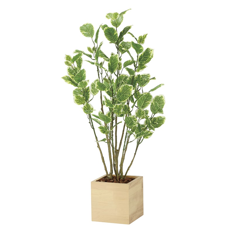 アートクリエーション 光の楽園 フェイクグリーン ウッドボックスポリシャス 1.0m 2308A220 1個(ご注文単位1個)【直送品】