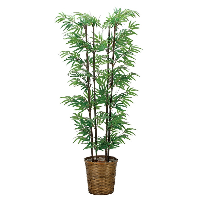 アートクリエーション 光の楽園 フェイクグリーン 黒竹 1.6m 2315A300 1個(ご注文単位1個)【直送品】