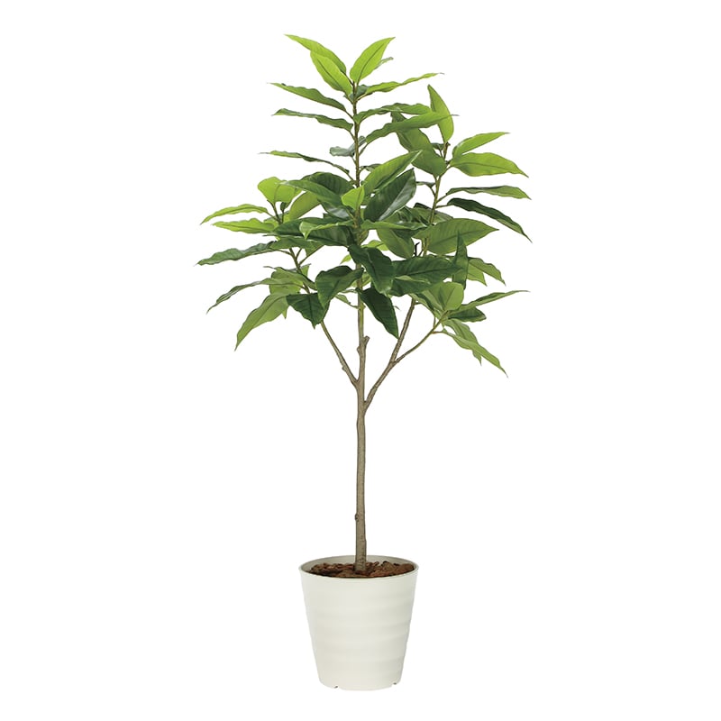 アートクリエーション 光の楽園 フェイクグリーン フレッシュユラニア 1.6m 2325A400 1個(ご注文単位1個)【直送品】