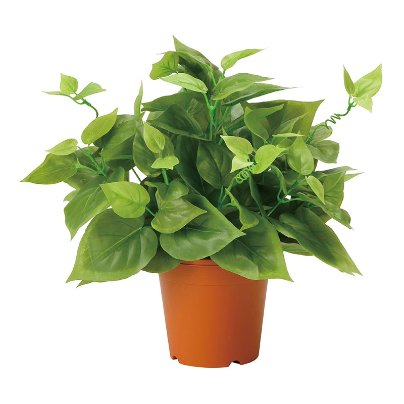 アートクリエーション 光の楽園 フェイクグリーン ライムポトス 2346A50 1個（ご注文単位1個）【直送品】