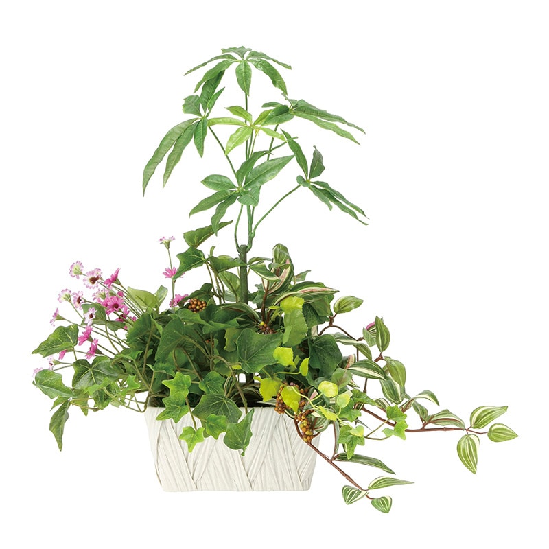 アートクリエーション 光の楽園 フェイクグリーン 寄せ植えパキラ 2347A100 1個（ご注文単位1個）【直送品】