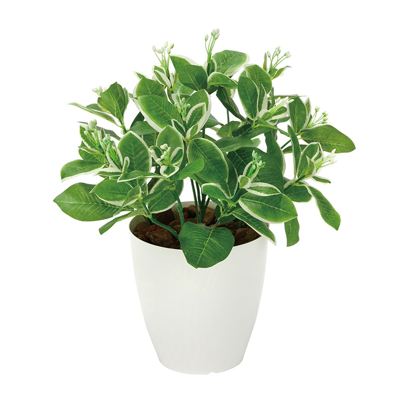 アートクリエーション 光の楽園 フェイクグリーン ピトスポラム 2350A70 1個（ご注文単位1個）【直送品】