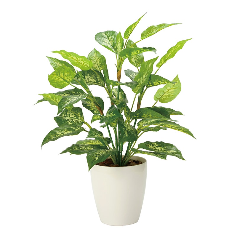 アートクリエーション 光の楽園 フェイクグリーン フレッシュディフェンバキア L 2353A85 1個（ご注文単位1個）【直送品】