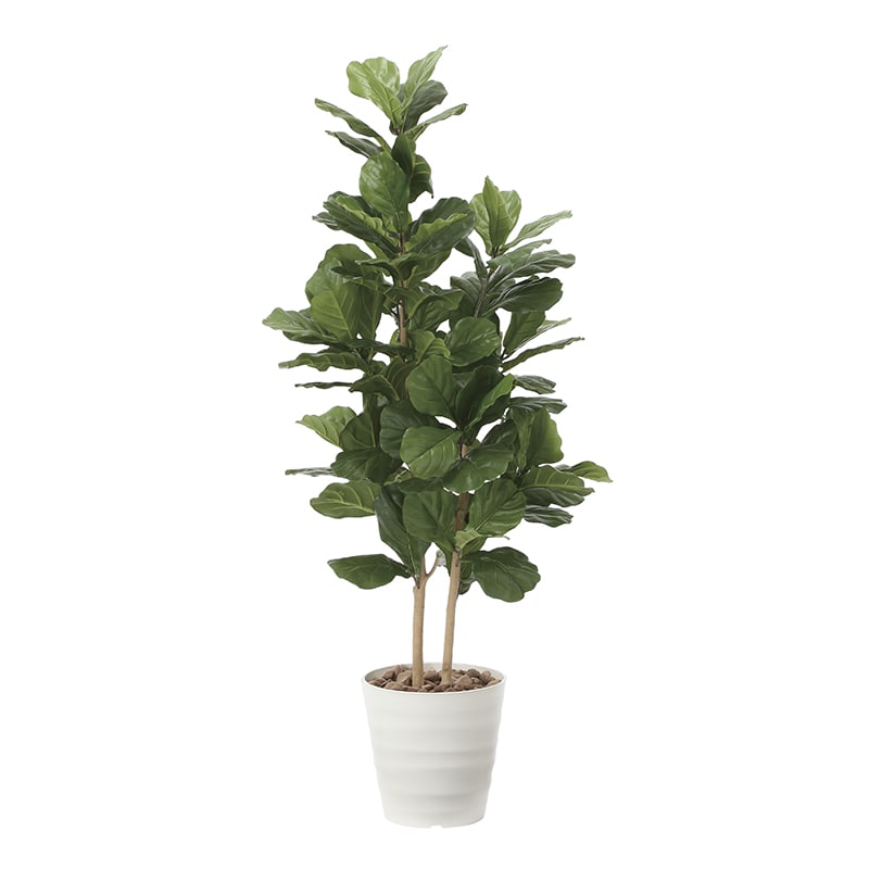 アートクリエーション 光の楽園 フェイクグリーン カシワバゴム 1.6m 2126A380 1個（ご注文単位1個）【直送品】