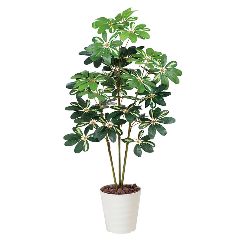 アートクリエーション 光の楽園 フェイクグリーン カポック 斑入り 1.2m 371K165 1個（ご注文単位1個）【直送品】