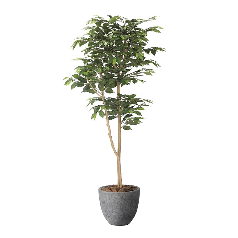 アートクリエーション 光の楽園 フェイクグリーン ナチュラルベンジャミン 1.6m 2401A500 1個（ご注文単位1個）【直送品】