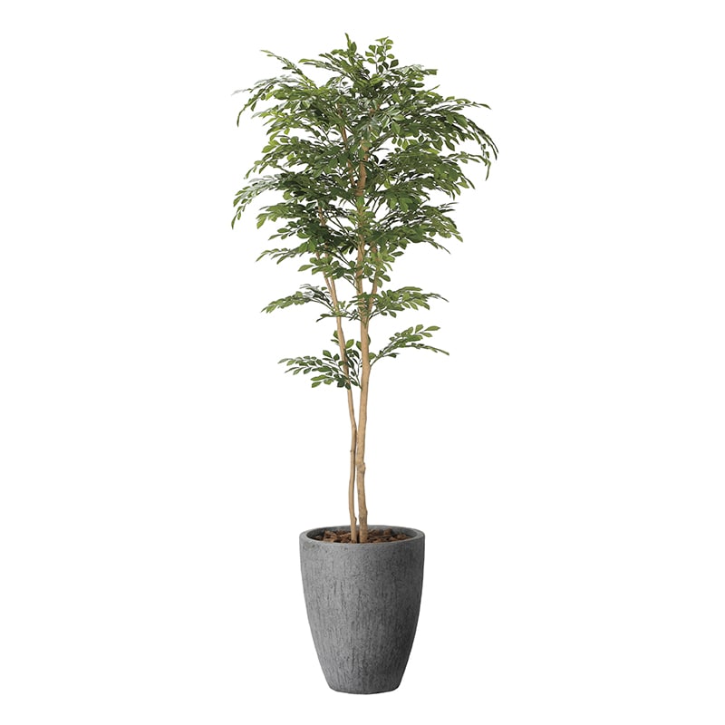 アートクリエーション 光の楽園 フェイクグリーン ナチュラルトネリコ 1.8m 2407A720 1個（ご注文単位1個）【直送品】