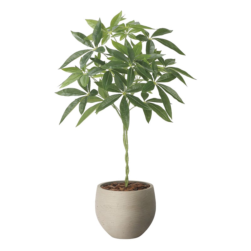 アートクリエーション 光の楽園 フェイクグリーン ナチュラルパキラ 90cm 2408A215 1個（ご注文単位1個）【直送品】