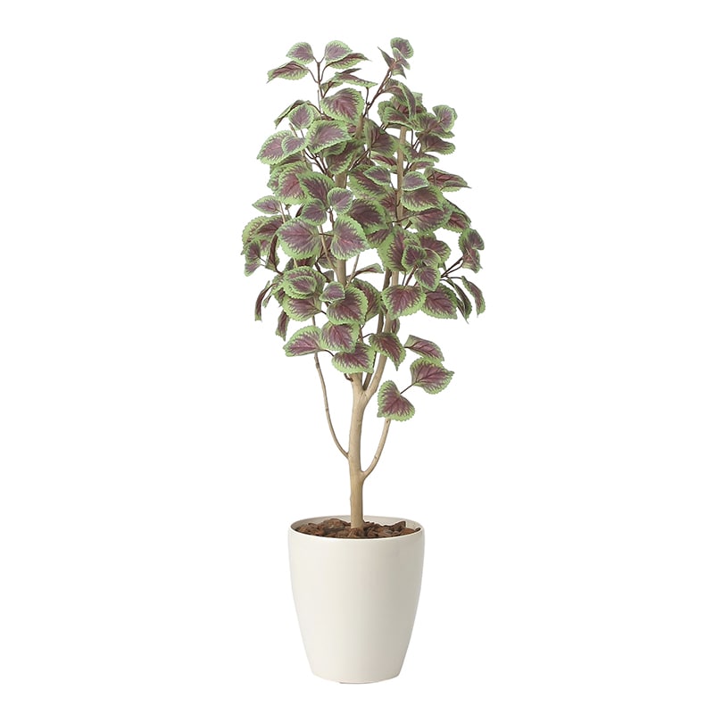 アートクリエーション 光の楽園 フェイクグリーン コリウス 1.1m 2412A160 1個（ご注文単位1個）【直送品】