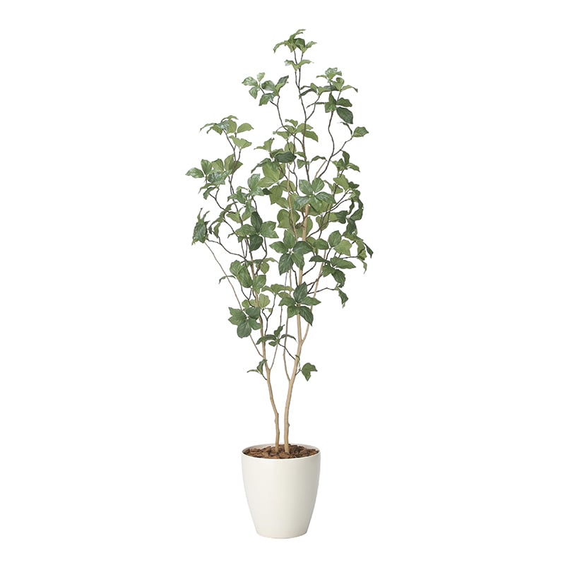 アートクリエーション 光の楽園 フェイクグリーン サラサドウダン 1.6m 2416A280 1個（ご注文単位1個）【直送品】