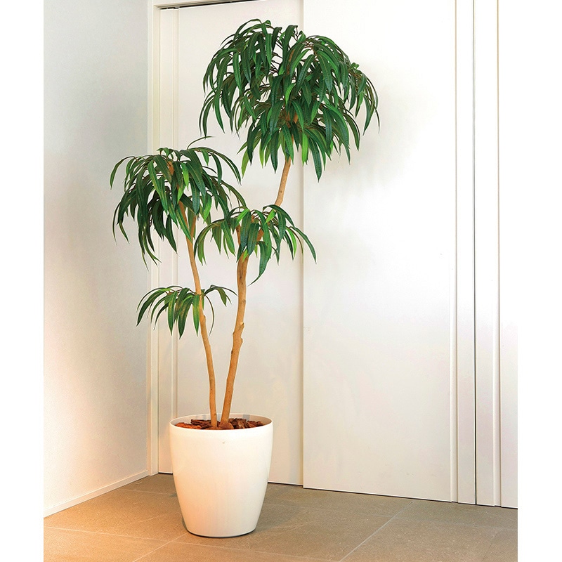 アートクリエーション 光の楽園 フェイクグリーン DXショウナンゴム 1.8m 2417A500 1個(ご注文単位1個)【直送品】