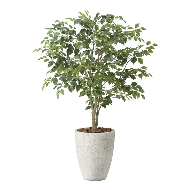 アートクリエーション 光の楽園 フェイクグリーン ナチュラルフィカスツリー 1.5m 2424A590 1個（ご注文単位1個）【直送品】