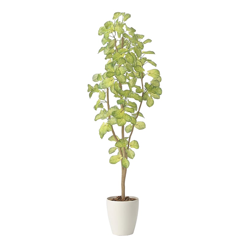 アートクリエーション 光の楽園 フェイクグリーン スリムバウヒニア 1.5m 2429A240 1個（ご注文単位1個）【直送品】