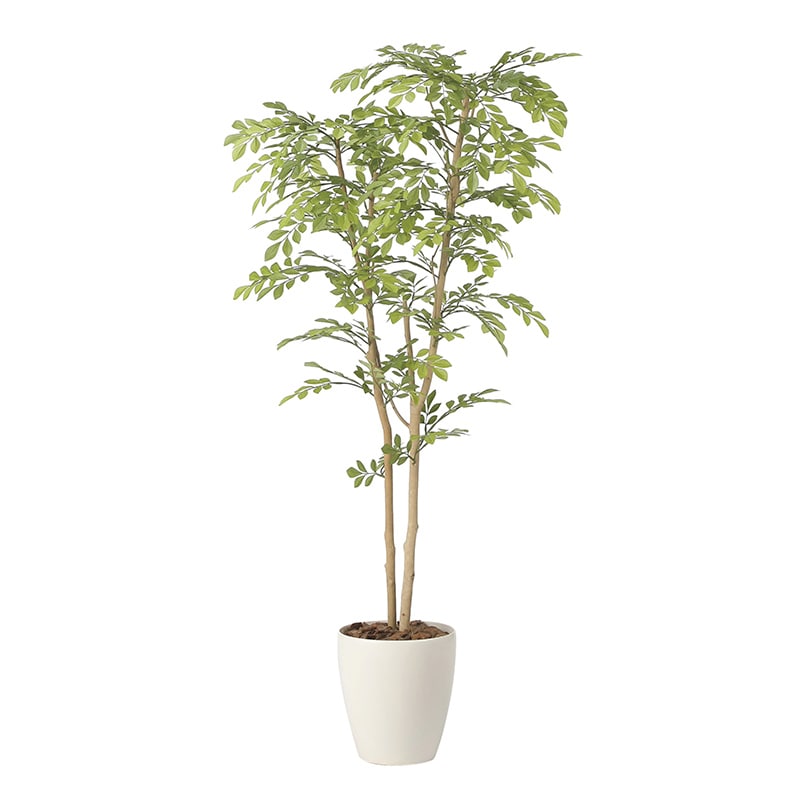 アートクリエーション 光の楽園 フェイクグリーン ライトトネリコ 1.3m 2430A240 1個（ご注文単位1個）【直送品】