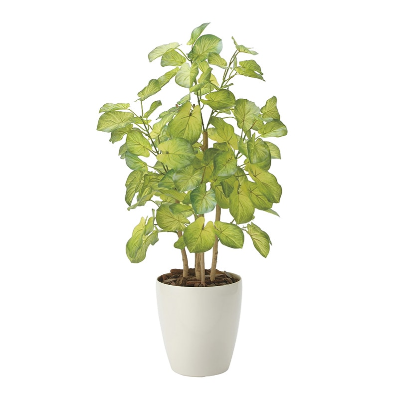 アートクリエーション 光の楽園 フェイクグリーン バウヒニア 70cm 2431A120 1個（ご注文単位1個）【直送品】