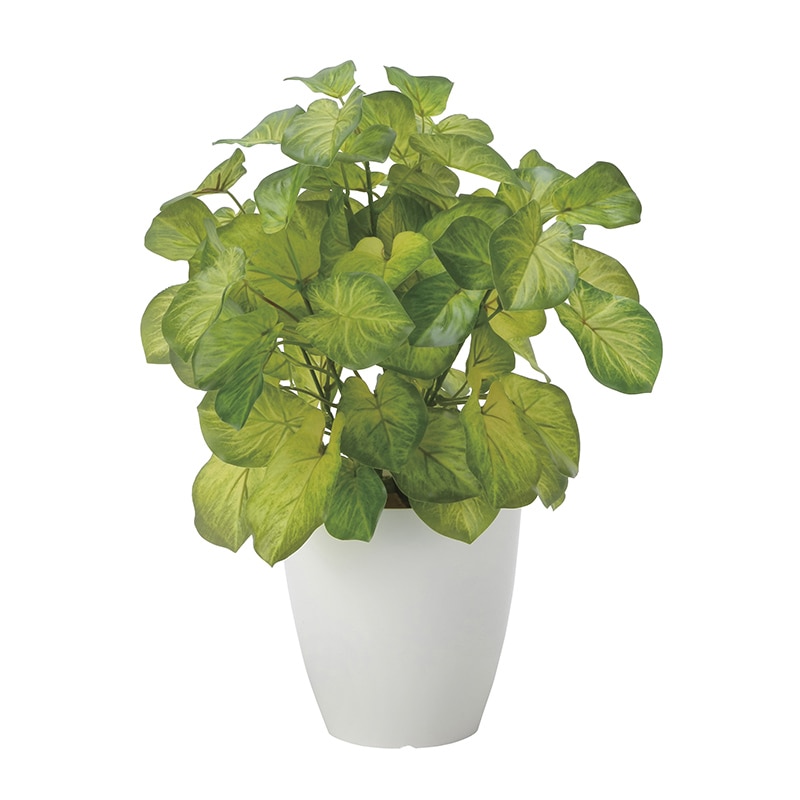 アートクリエーション 光の楽園 フェイクグリーン バウヒニア 2446A60 1個（ご注文単位1個）【直送品】