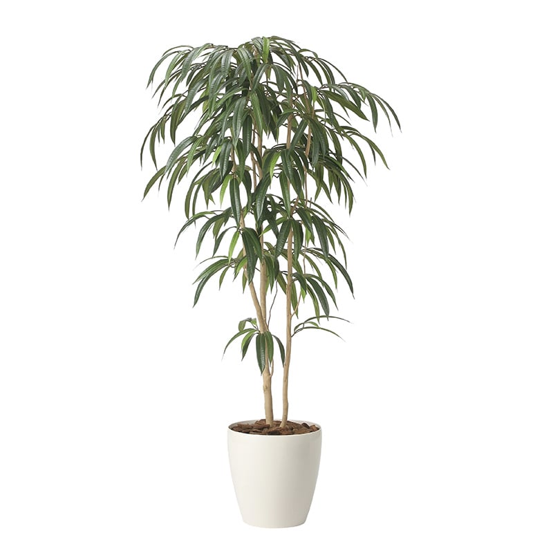 アートクリエーション 光の楽園 フェイクグリーン ショウナンゴム 1.6m 2454A400 1本（ご注文単位1本）【直送品】