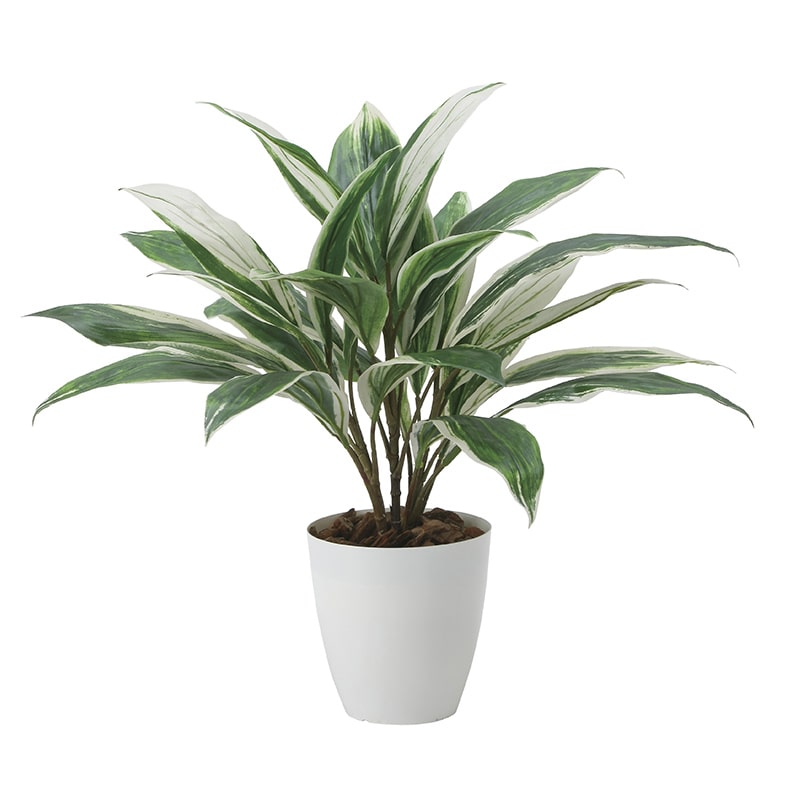 アートクリエーション 光の楽園 フェイクグリーン ドラセナ 2459A50 1個(ご注文単位1個)【直送品】