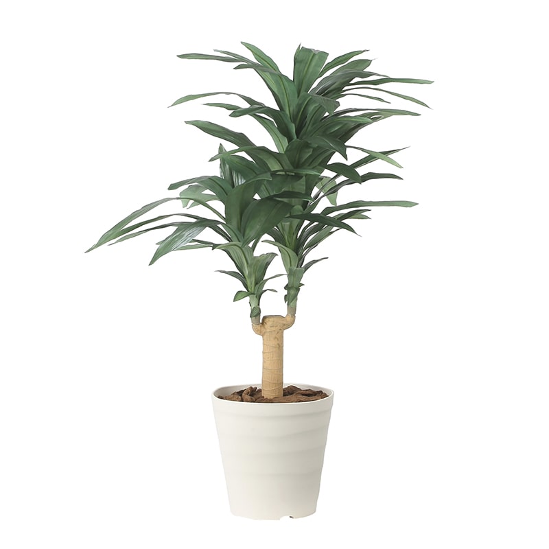 アートクリエーション 光の楽園 フェイクグリーン ドラセナジャネット 1.0m 2492A150 1個(ご注文単位1個)【直送品】