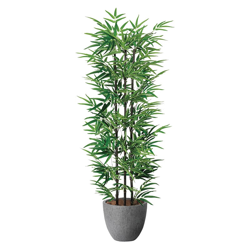 アートクリエーション 光の楽園 フェイクグリーン ナチュラル黒竹 1.6m 2504A420 1個(ご注文単位1個)【直送品】