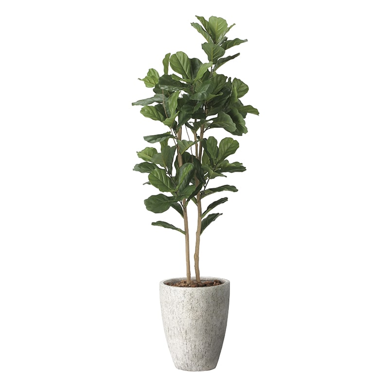 アートクリエーション 光の楽園 フェイクグリーン ナチュラルカシワバゴム 1.8m 2406M690 1個(ご注文単位1個)【直送品】