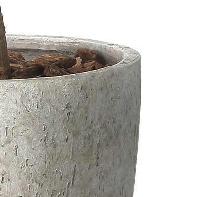 アートクリエーション 光の楽園 フェイクグリーン ナチュラルカシワバゴム 1.8m 2406M690 1個(ご注文単位1個)【直送品】